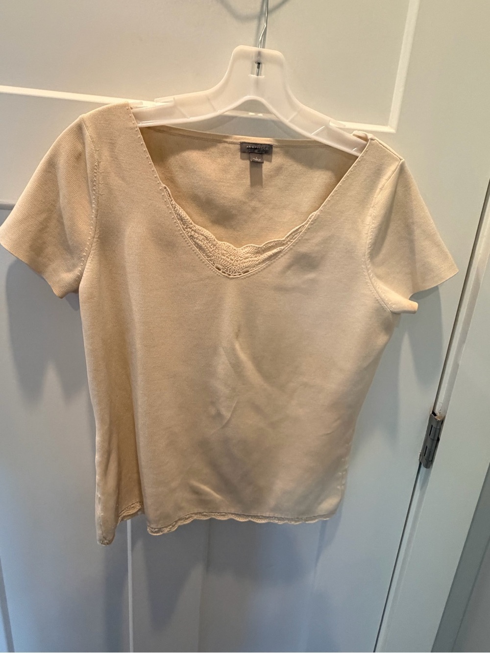 Ann Taylor L Ivory 75% Silk Crochet Lace Trim Short Sleeve Top